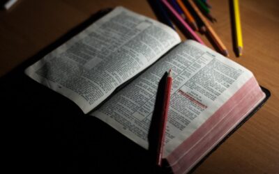 The Best Bibles For Different Kinds Of Christians 